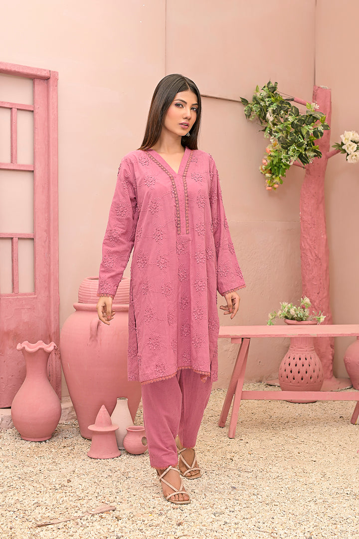Chicken kari 2-piece embroidered work dress