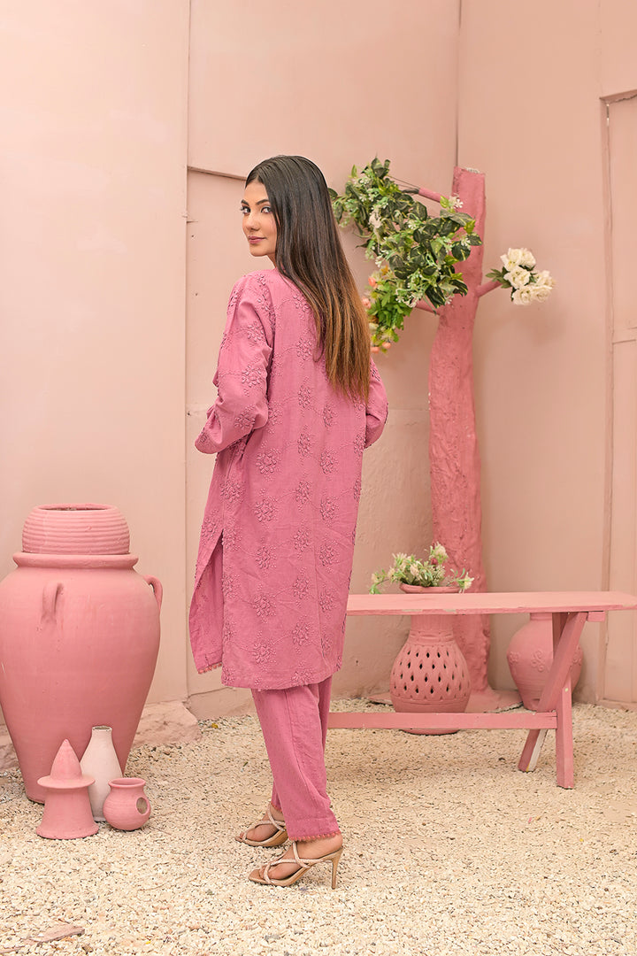 Chicken kari 2-piece embroidered work dress