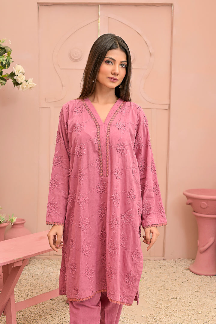 Chicken kari 2-piece embroidered work dress