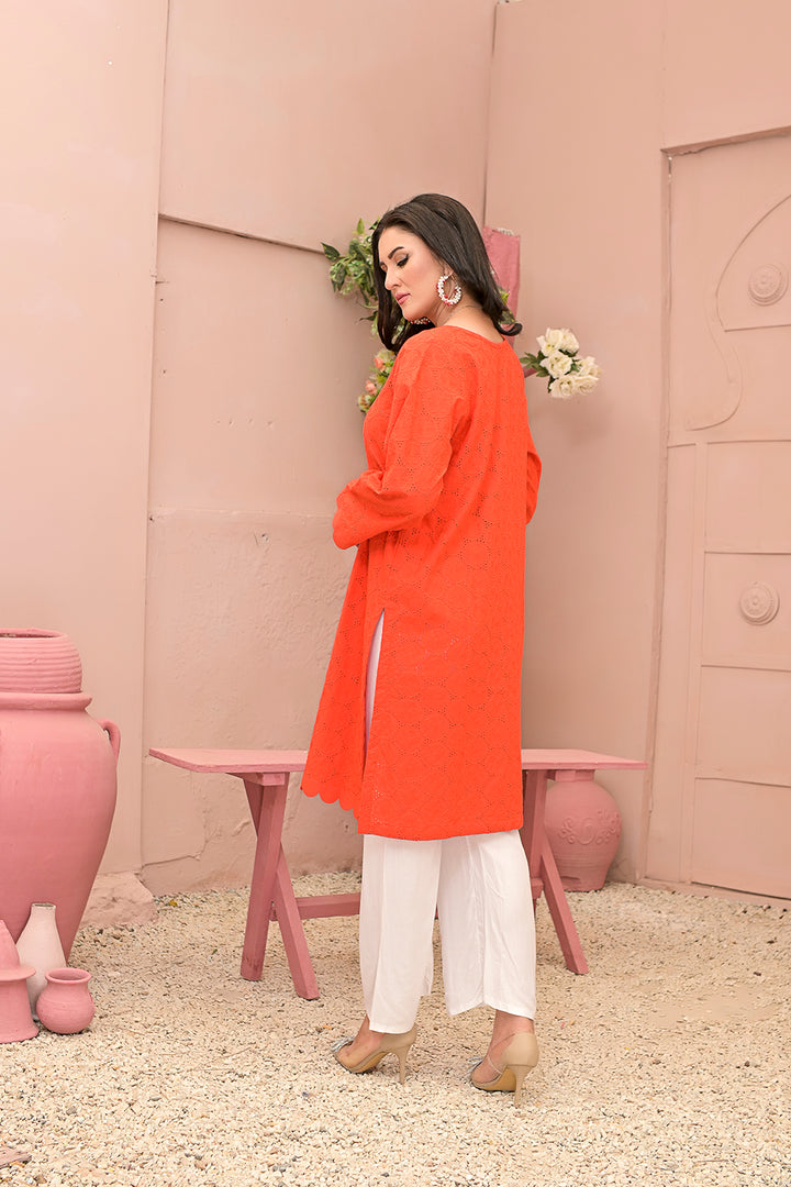 Chicken kari 2-piece embroidered work dress