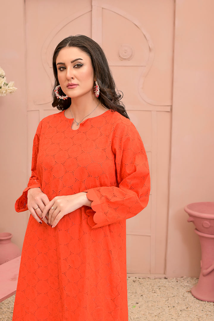Chicken kari 2-piece embroidered work dress